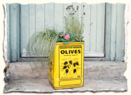 planter made from olive tin by Kate Doubleday