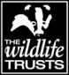 wildlife trust logo